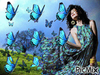 motýliky - GIF animado grátis