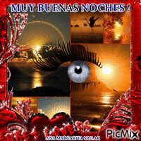 muy buenas noches - Free animated GIF