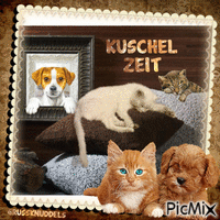 Kuschelzeit animovaný GIF