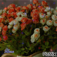 rosas de estrelas coloridas GIF animata