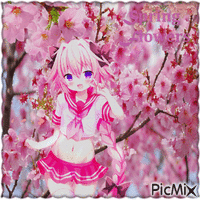 Kirschblüte - Anime
