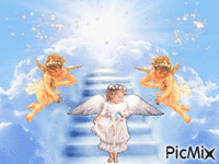les anges - GIF animé gratuit