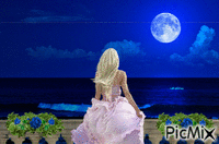 Beach at Night - GIF animasi gratis