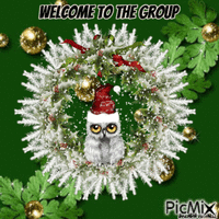 Welcome owl animēts GIF