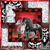{♠}Black & White Horse in a Red Environment{♠}