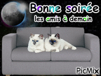 Bonne soiree - Animovaný GIF zadarmo