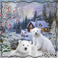 oso polar Animated GIF