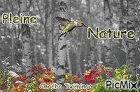 Nature animovaný GIF
