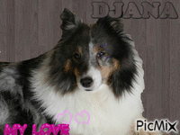 Djana - Безплатен анимиран GIF