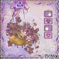 violette - Bezmaksas animēts GIF