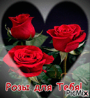 Розы для тебя! - Ücretsiz animasyonlu GIF