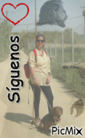 Síguenos - Δωρεάν κινούμενο GIF