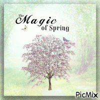The Magic of Spring