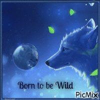 Born to be Wild animovaný GIF