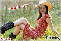 souvenir USA - Gratis animeret GIF