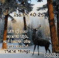 Isaiah 40:26 - Ilmainen animoitu GIF