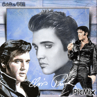 Elvis Presley par BBM - GIF animado grátis