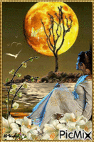femme pensive coucher de soleil animovaný GIF