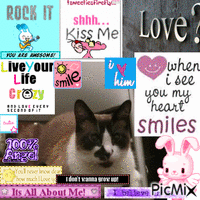 love my meow meow - GIF animé gratuit