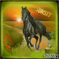 HORSE SUNSET. анимиран GIF