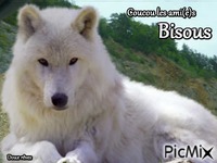 Bisous - 免费动画 GIF