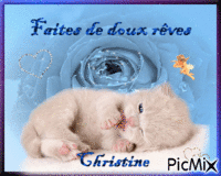 bonne nuit chat - Darmowy animowany GIF