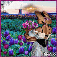 Champ de tulipes - GIF animado grátis
