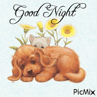 Good Night My Friend анимиран GIF
