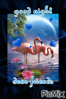 Good Night Flamingos - GIF animado grátis