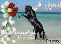 الخيل - Bezmaksas animēts GIF