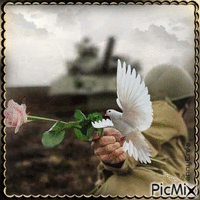 Soldat de la paix - Besplatni animirani GIF