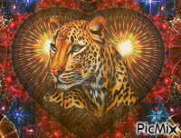 ghepard - Ilmainen animoitu GIF
