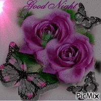 PINK ROSES, THREE SPARKLING BLACK BUTTERFLIES, GOOD NIGHT, AND A FLASHING LIGHT. - GIF animado grátis