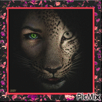 Femme au visage de tigre !!!!! - Gratis animerad GIF