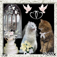 Mariage de chats - GIF animado grátis