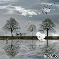 ~~ nature reflection ~~ - GIF animate gratis