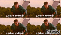 Notre Liam Payne! geanimeerde GIF