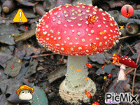 champignon - GIF animado grátis