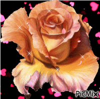 rózsa - Безплатен анимиран GIF