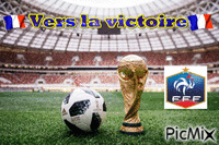 finale mondial - Free animated GIF
