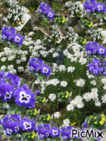 mille fleurs - GIF animate gratis