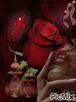 Арома-роза - Animovaný GIF zadarmo
