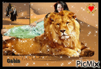 лев  и я - Besplatni animirani GIF