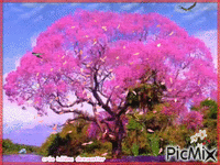 HD paysage arbre rose - GIF เคลื่อนไหวฟรี