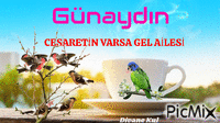 CESARETİN VARSA GEL AİLESİ - Bezmaksas animēts GIF
