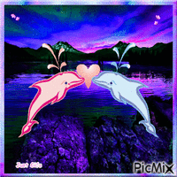 Dolphin Love - Бесплатный анимированный гифка
