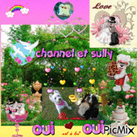 mariage de channel et sully Animated GIF