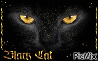 black cat - GIF animado grátis