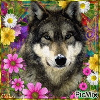 wolf and flowers