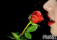 Rosas - GIF animado gratis